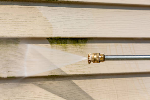 Best Garage Pressure Washing  in Paisley, FL